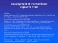 Development of the Ruminant Digestive Tract PowerPoint PPT Presentation