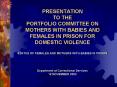 PRESENTATION TO THE PORTFOLIO COMMITTEE ON MOTHERS WITH BABIES AND FEMALES IN PRISON FOR DOMESTIC VIOLENCE STATUS OF FEMALES AND MOTHERS WITH BABIES IN PRISON   Department of Correctional Services 12 NOVEMBER 2002 PowerPoint PPT Presentation