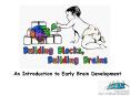 An Introduction to Early Brain Development PowerPoint PPT Presentation