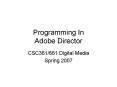 Programming In Adobe Director PowerPoint PPT Presentation