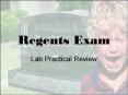 Regents Exam PowerPoint PPT Presentation