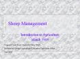 Sheep Management PowerPoint PPT Presentation