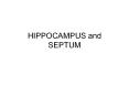 HIPPOCAMPUS and SEPTUM PowerPoint PPT Presentation