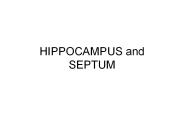 HIPPOCAMPUS and SEPTUM
