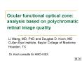 Ocular functional optical zone: analysis based on polychromatic retinal image quality PowerPoint PPT Presentation