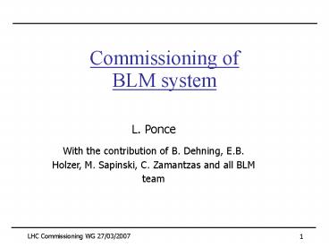 Commissioning of BLM system