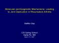 Molecular and Epigenetic Mechanisms Leading to Joint Destruction in Rheumatoid Arthritis PowerPoint PPT Presentation