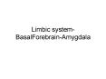 Limbic system-BasalForebrain-Amygdala PowerPoint PPT Presentation