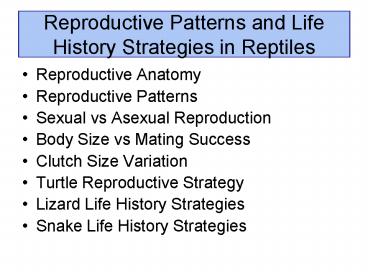 PPT – Reproductive Anatomy PowerPoint presentation | free to view - id ...