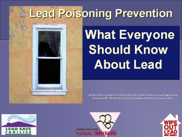 What Everyone Should Know About Lead
