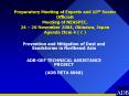 Preparatory Meeting of Experts and 10th Senior Officials Meeting of NEASPEC, 24 26 November 2004, Ok PowerPoint PPT Presentation