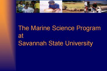 Utilization of Microbial Exopolymers by a Deposit-feeding Brittlestar:    Trophic and Toxicological Implications