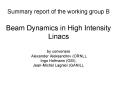 Summary report of the working group B Beam Dynamics in High Intensity Linacs by conveners Alexander PowerPoint PPT Presentation