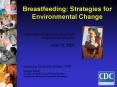 Breastfeeding: Strategies for Environmental Change PowerPoint PPT Presentation