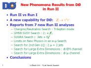 New Phenomena Results from D