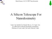 A%20Silicon%20Telescope%20For%20Nanodosimetry
