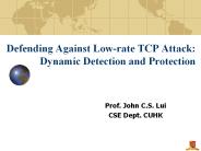Defending Against Low-rate TCP Attack: Dynamic Detection and Protection