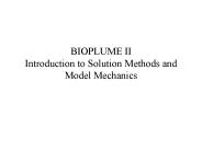 BIOPLUME II Introduction to Solution Methods and Model Mechanics