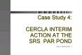 Case Study 4: CERCLA INTERIM ACTION AT THE SRS PAR POND PowerPoint PPT Presentation