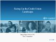Sizing Up the Credit Union Landscape PowerPoint PPT Presentation