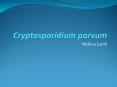 Cryptosporidium parvum PowerPoint PPT Presentation