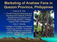 Marketing of Anahaw Fans in Quezon Province, Philippines PowerPoint PPT Presentation