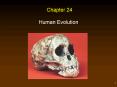 Human Evolution PowerPoint PPT Presentation