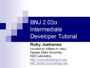BNJ 2.03a Intermediate Developer Tutorial