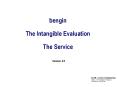 bengin The Intangible Evaluation The Service Version 2'0 PowerPoint PPT Presentation