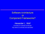 Software Architecture or Component Frameworks?