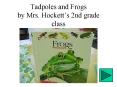 Tadpoles and Frogs by Mrs' Hocketts 2nd grade class PowerPoint PPT Presentation