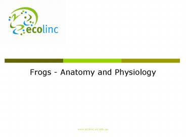 Frogs Anatomy and Physiology
