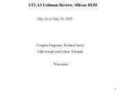 ATLAS Lehman Review, Silicon ROD