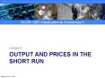 Output and Prices in the Short Run PowerPoint PPT Presentation