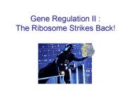 Gene Regulation II : The Ribosome Strikes Back