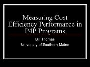 Measuring Cost Efficiency Performance in P4P Programs