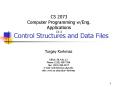 Control Structures and Data Files PowerPoint PPT Presentation