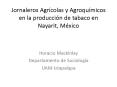 Jornaleros Agrcolas y Agroqumicos en la produccin de tabaco en Nayarit, Mxico PowerPoint PPT Presentation