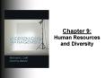Chapter 9: Human Resources and Diversity PowerPoint PPT Presentation