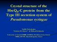 Crystal structure of the HrcQB-C protein from the Type ??? secretion system of Pseudomonas syringae PowerPoint PPT Presentation
