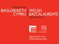 1419 developments in Wales England Same: problems National Qualifications Framework employerled qual PowerPoint PPT Presentation