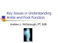 Key Issues in Understanding Ankle and Foot Function PowerPoint PPT Presentation