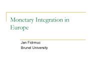 Monetary Integration in Europe