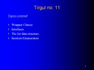 Tirgul no. 11