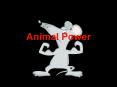 Animal Power PowerPoint PPT Presentation
