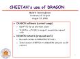 CHEETAH's use of DRAGON PowerPoint PPT Presentation
