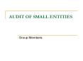 AUDIT OF SMALL ENTITIES PowerPoint PPT Presentation