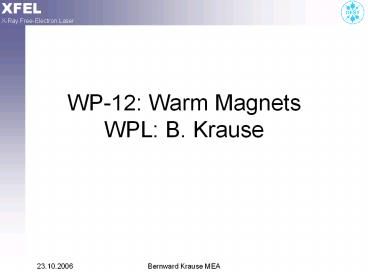 WP-12:%20Warm%20Magnets%20WPL:%20B.%20Krause