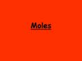 Moles PowerPoint PPT Presentation