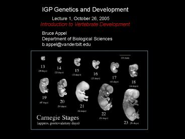 IGP Genetics and Development